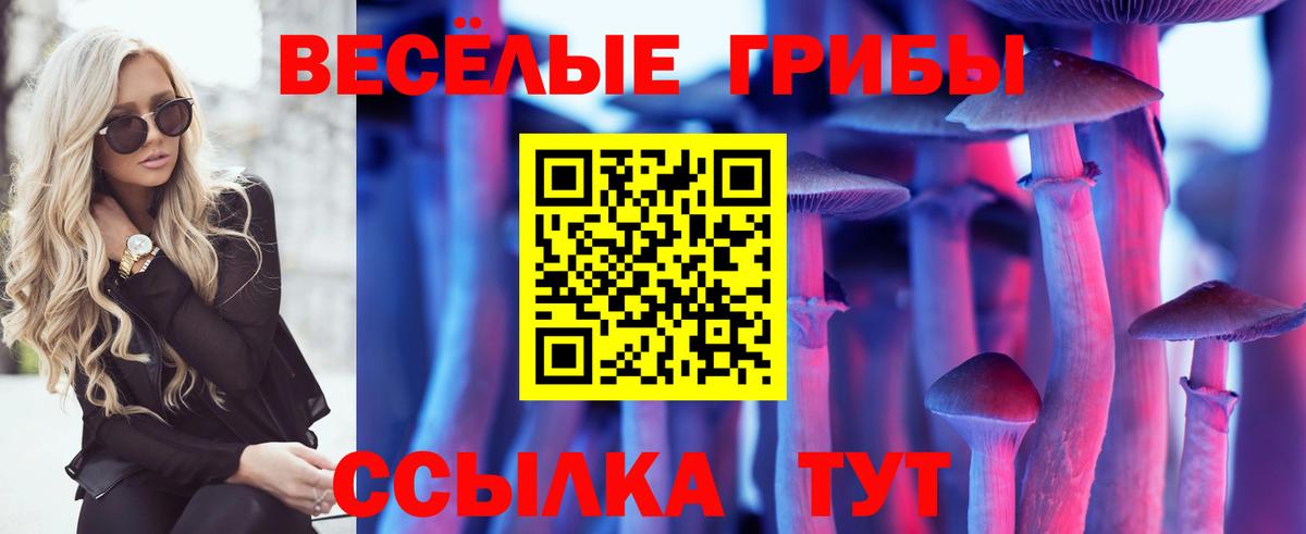 Галлюциногенные грибы ЛСД Шатура